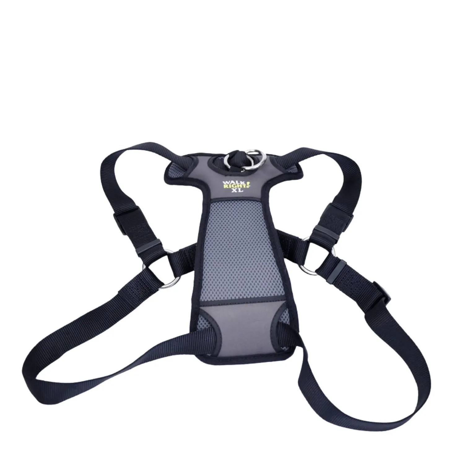 Front-connect padded dog harness
