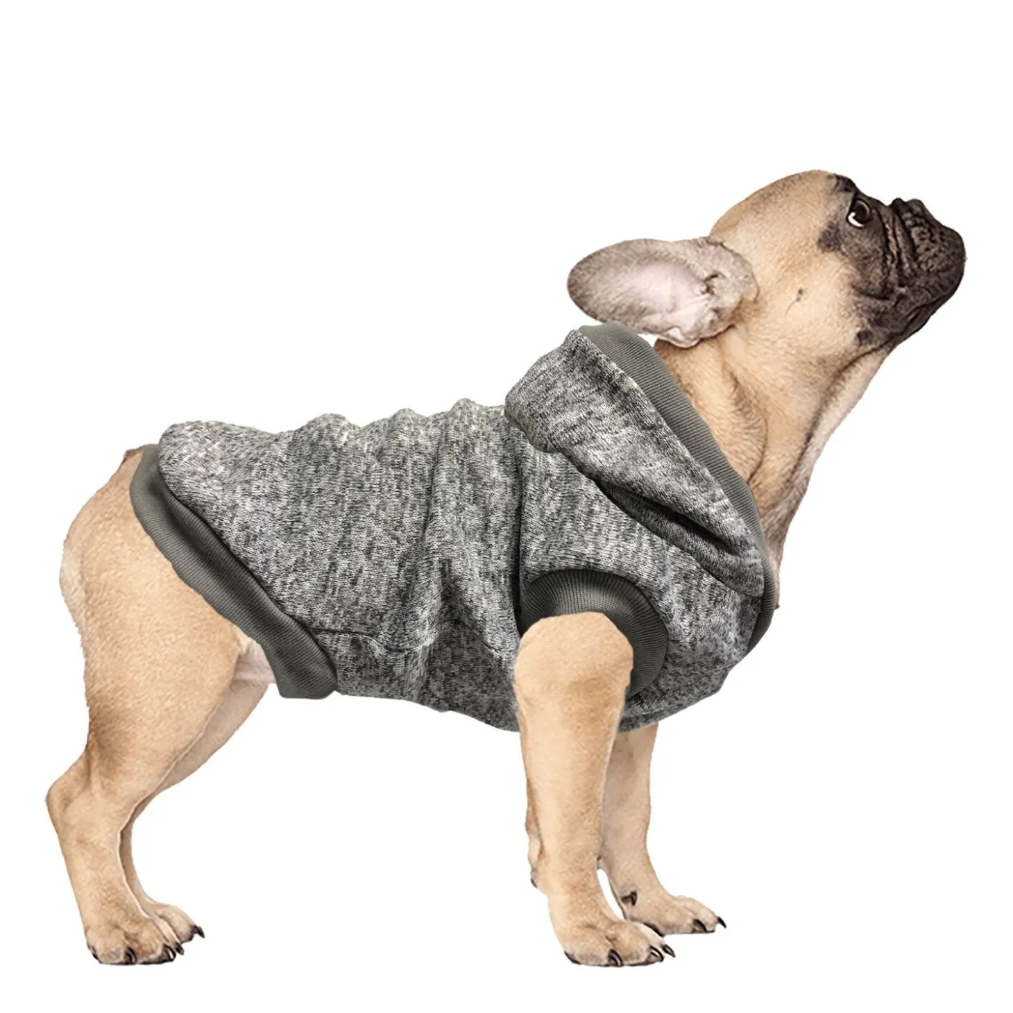 Gigi dog hoodie