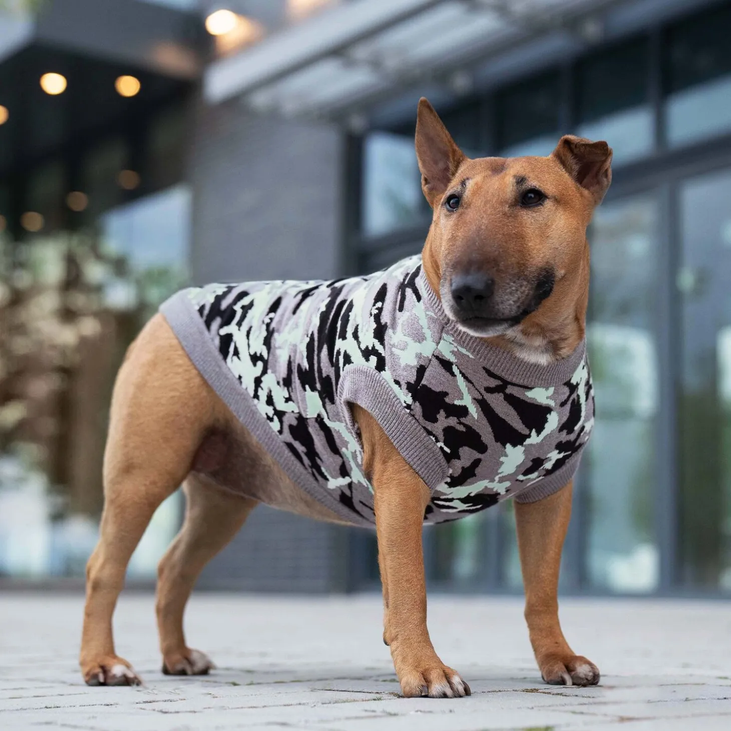 Glow-In-The-Dark Sweater, 8