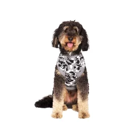 Glow-In-The-Dark Sweater, 10