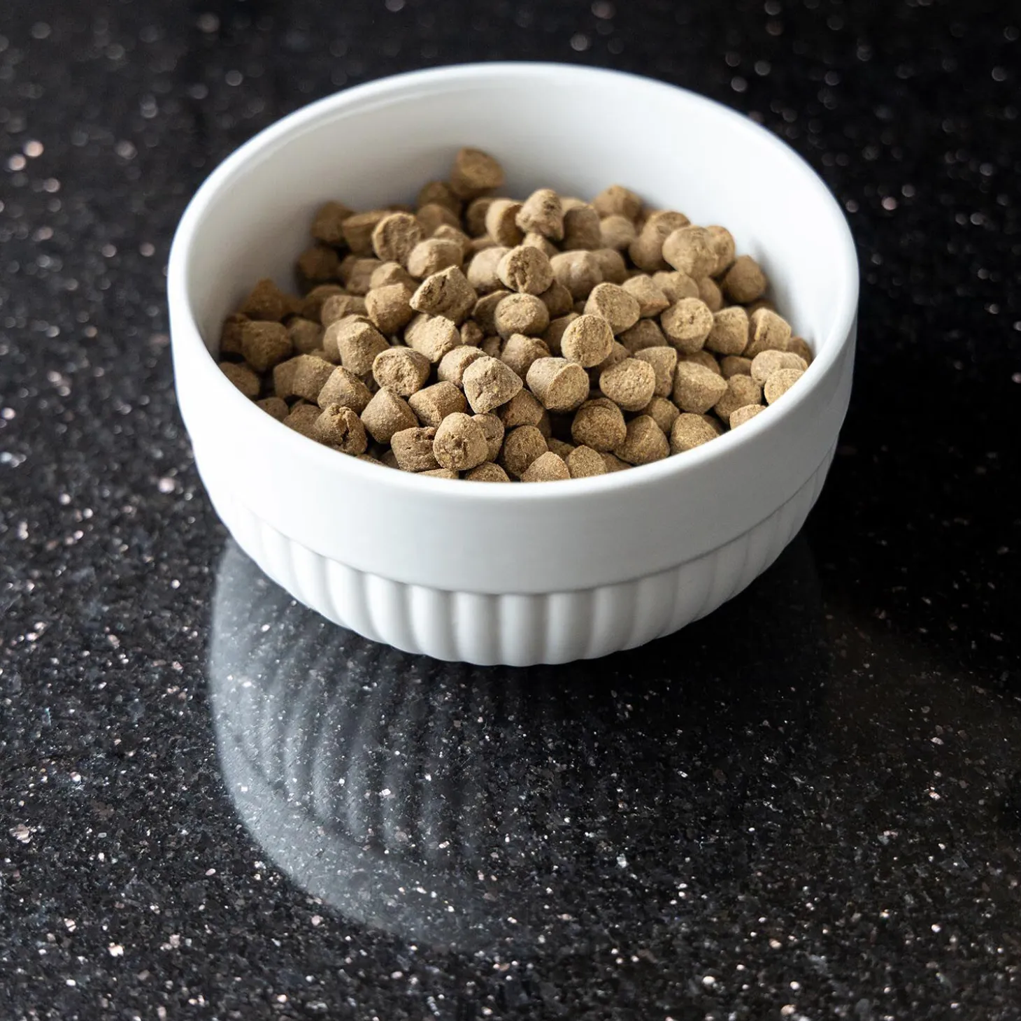 Gourmet Bowl