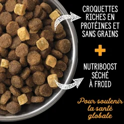 Grain free chicken, turkey and wild-caught fish food for adult dogs, Fraser valley formula