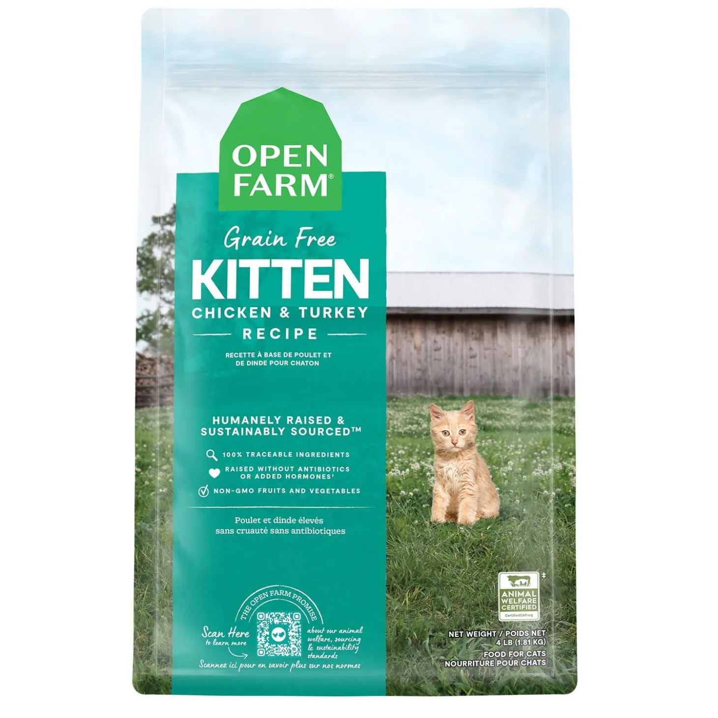 Grain Free Kitten Recipe Dry Food for Kittens
