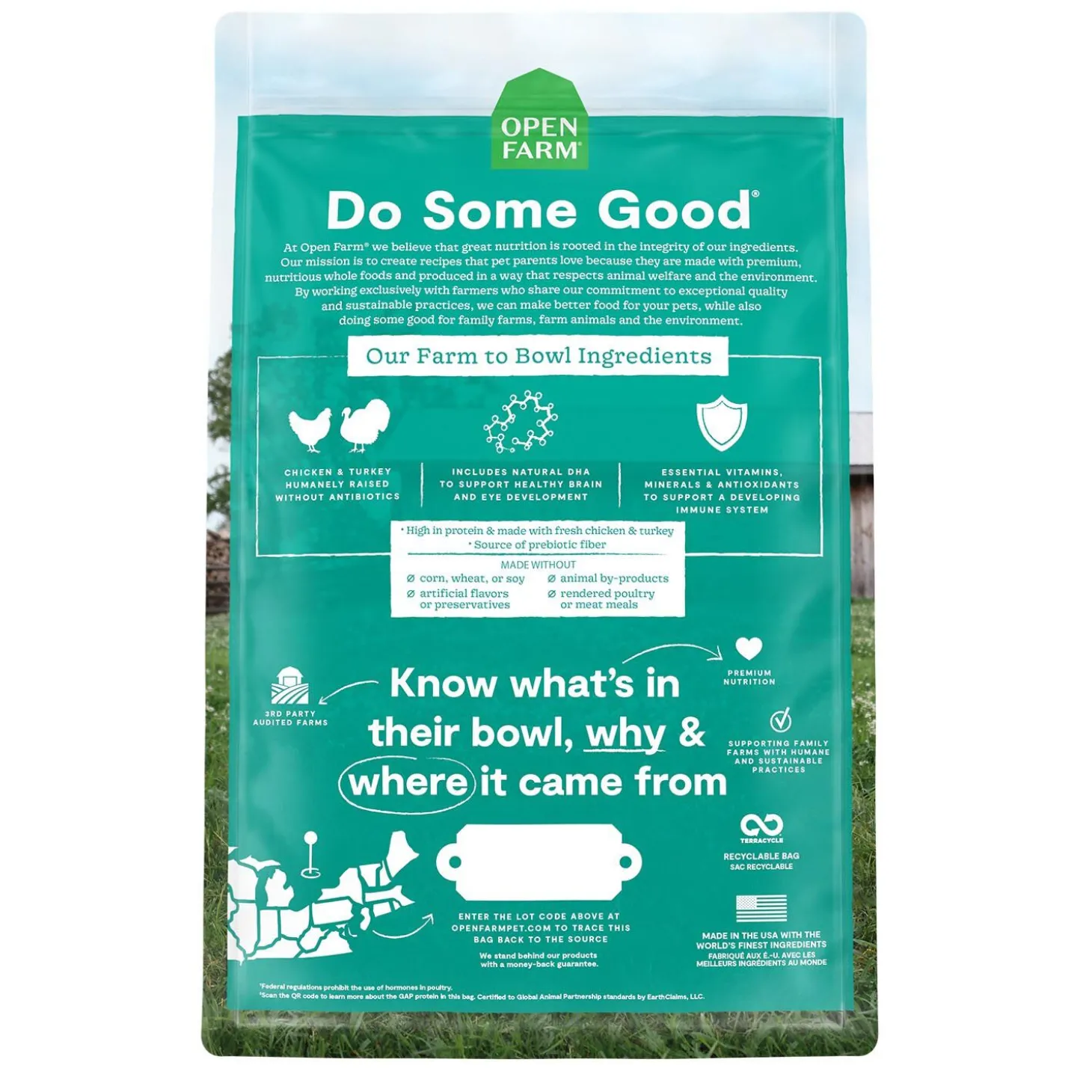 Grain Free Kitten Recipe Dry Food for Kittens