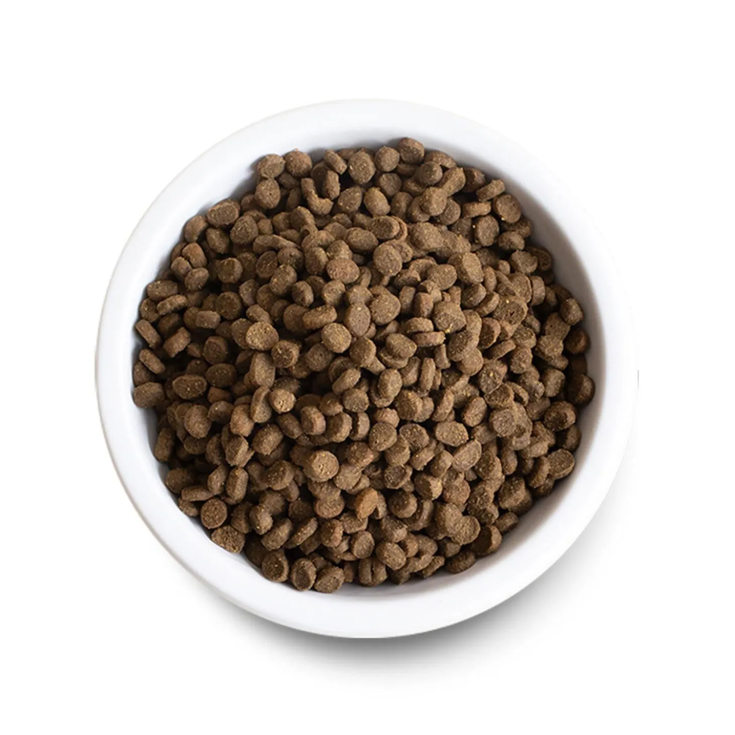 Grain Free Kitten Recipe Dry Food for Kittens