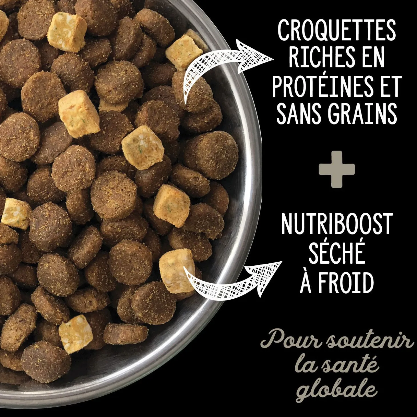 Grain Free Northern Lakes Dry Food for Dogs