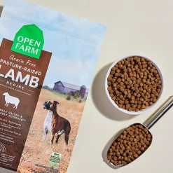 Grain-Free Pasture Raised Lamb Recipe Dry Food For Dogs