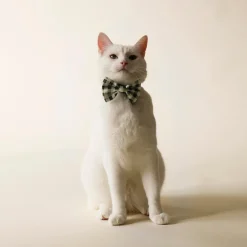 Green Plaid Cat Bowtie