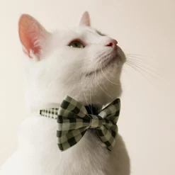Green Plaid Cat Bowtie