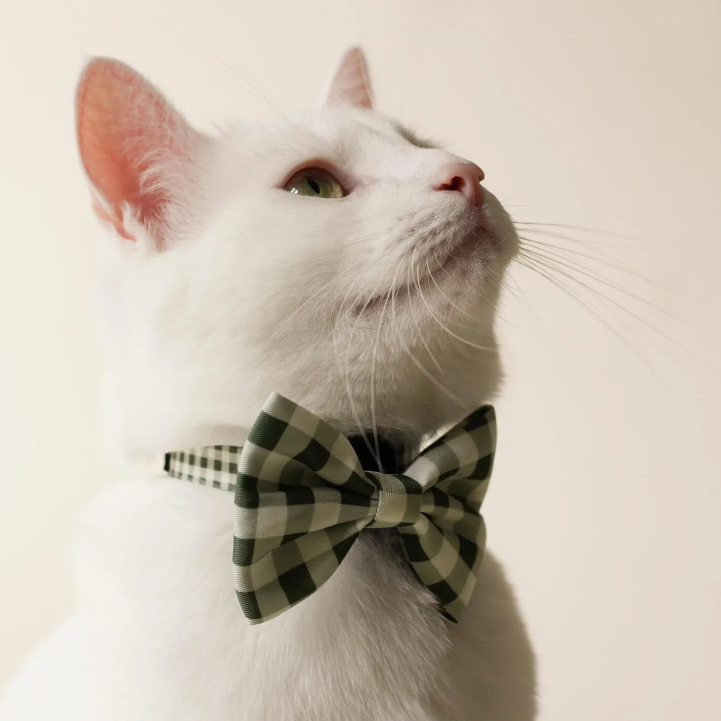 Green Plaid Cat Bowtie