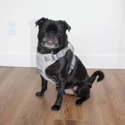 Grey Embroidered Dog Harness