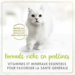 Grilled salmon wet food for adult cats