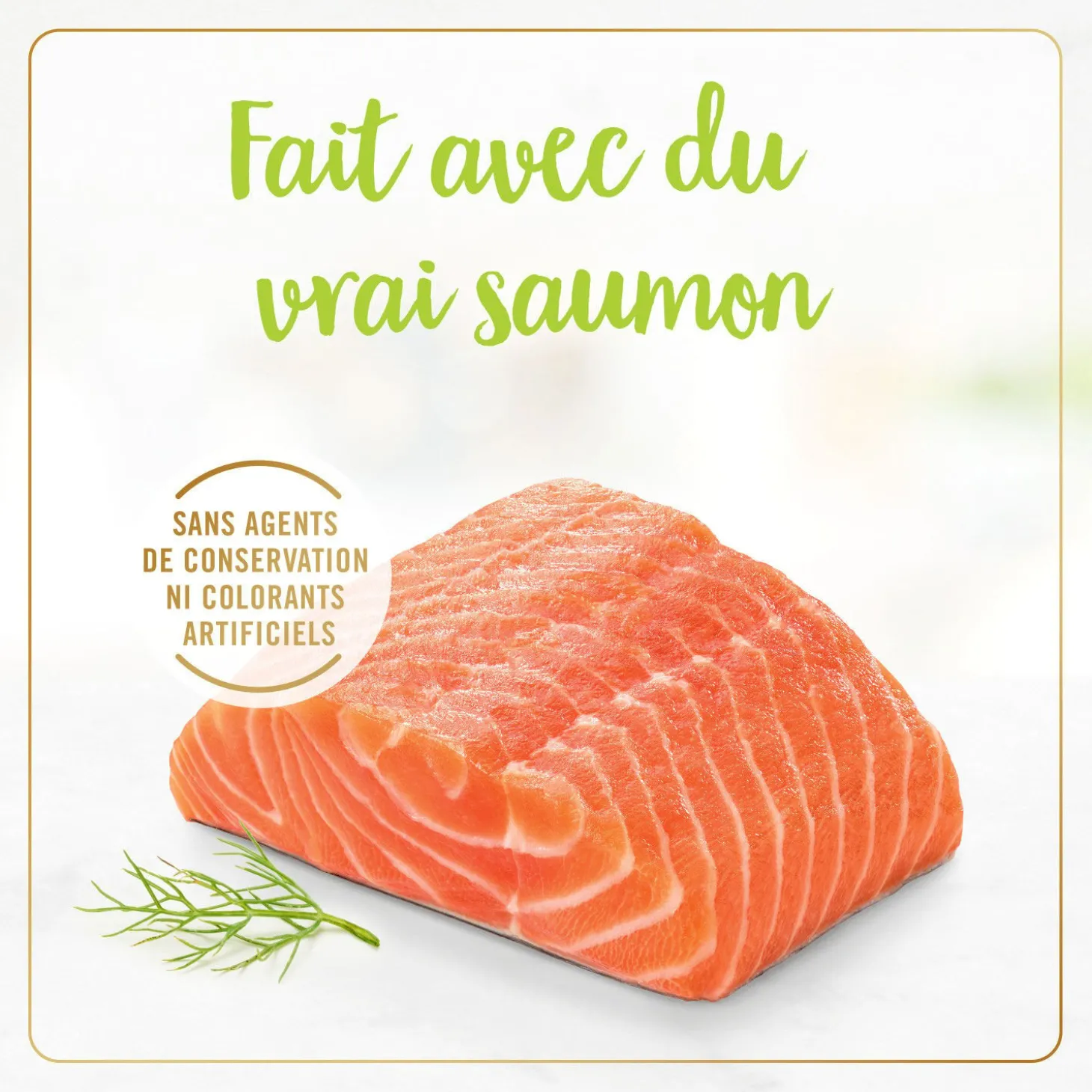 Grilled salmon wet food for adult cats