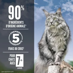 Guardian 8 Dry Food Formula for Senior Cats, 1.8 kg