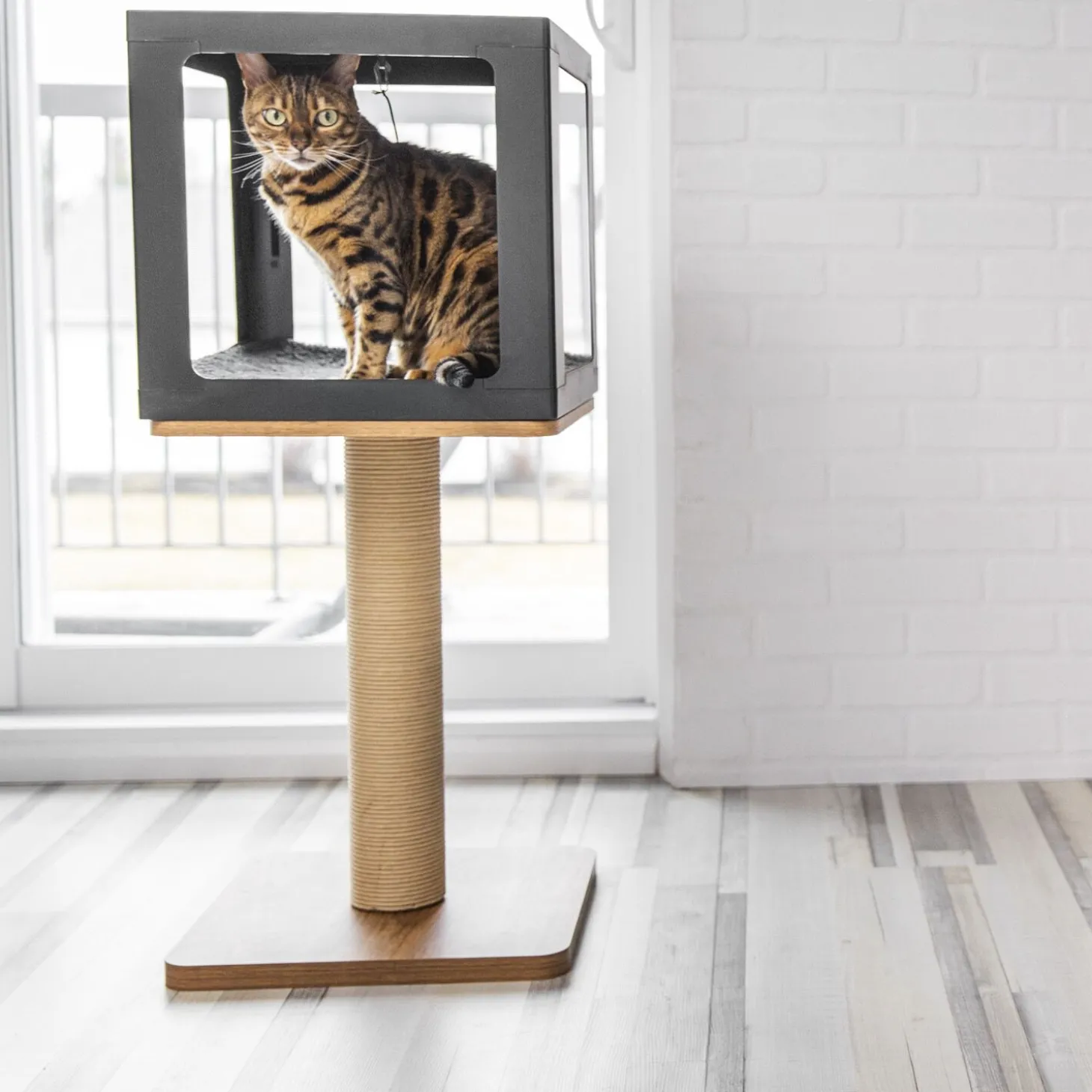 Habikatt Evo Cat Tree