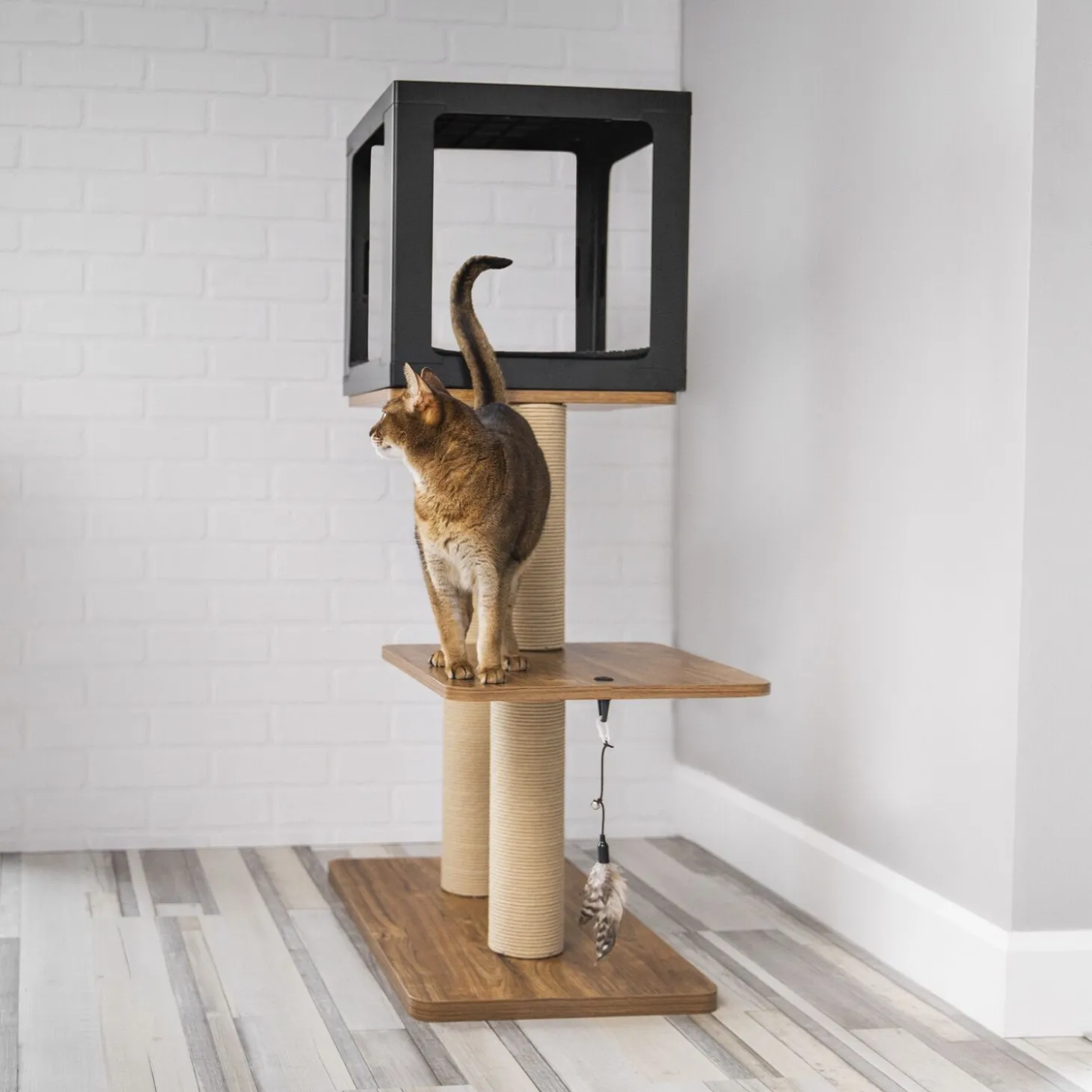Habikatt Evo Plus cat tree