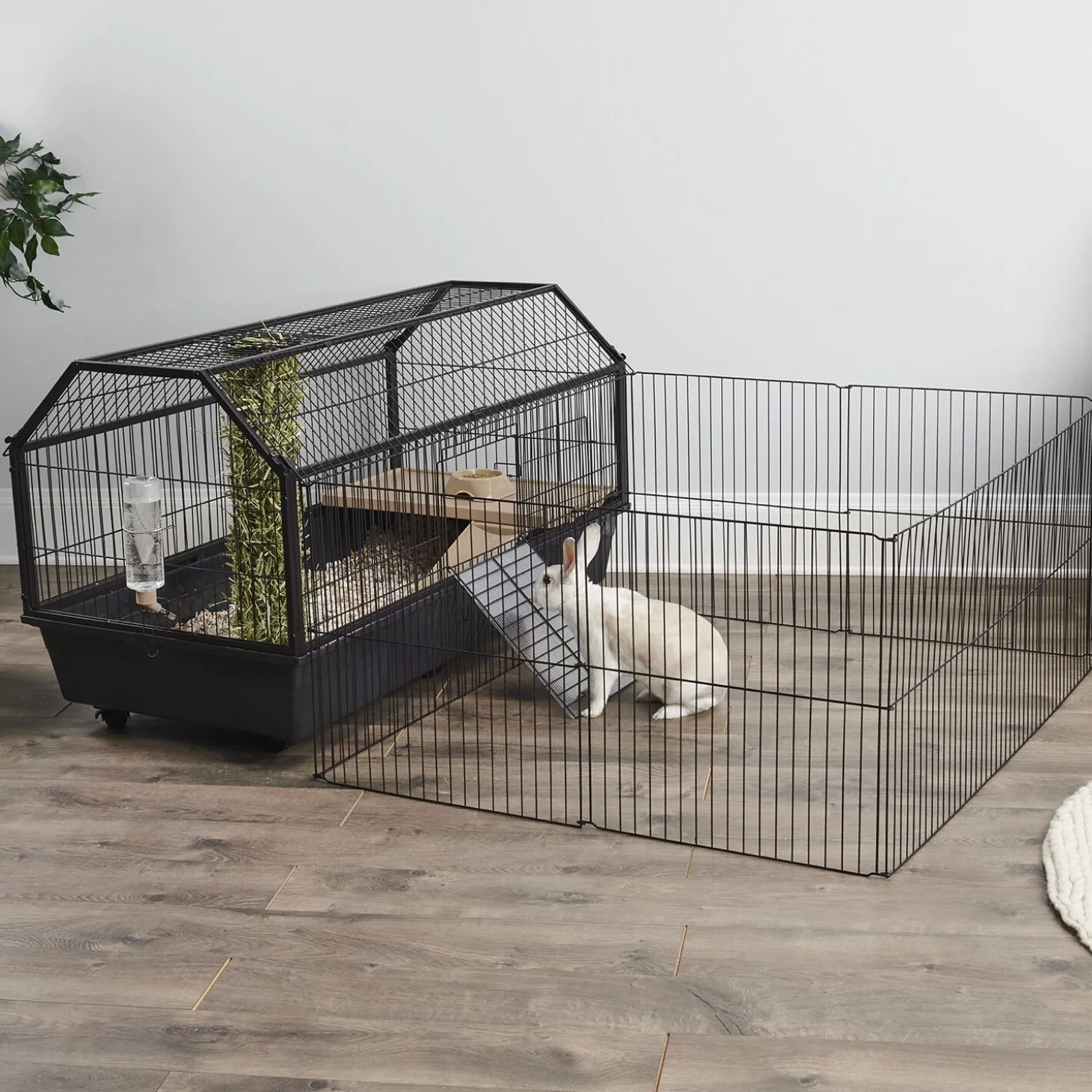 Habitat for Rodents with Play Yard