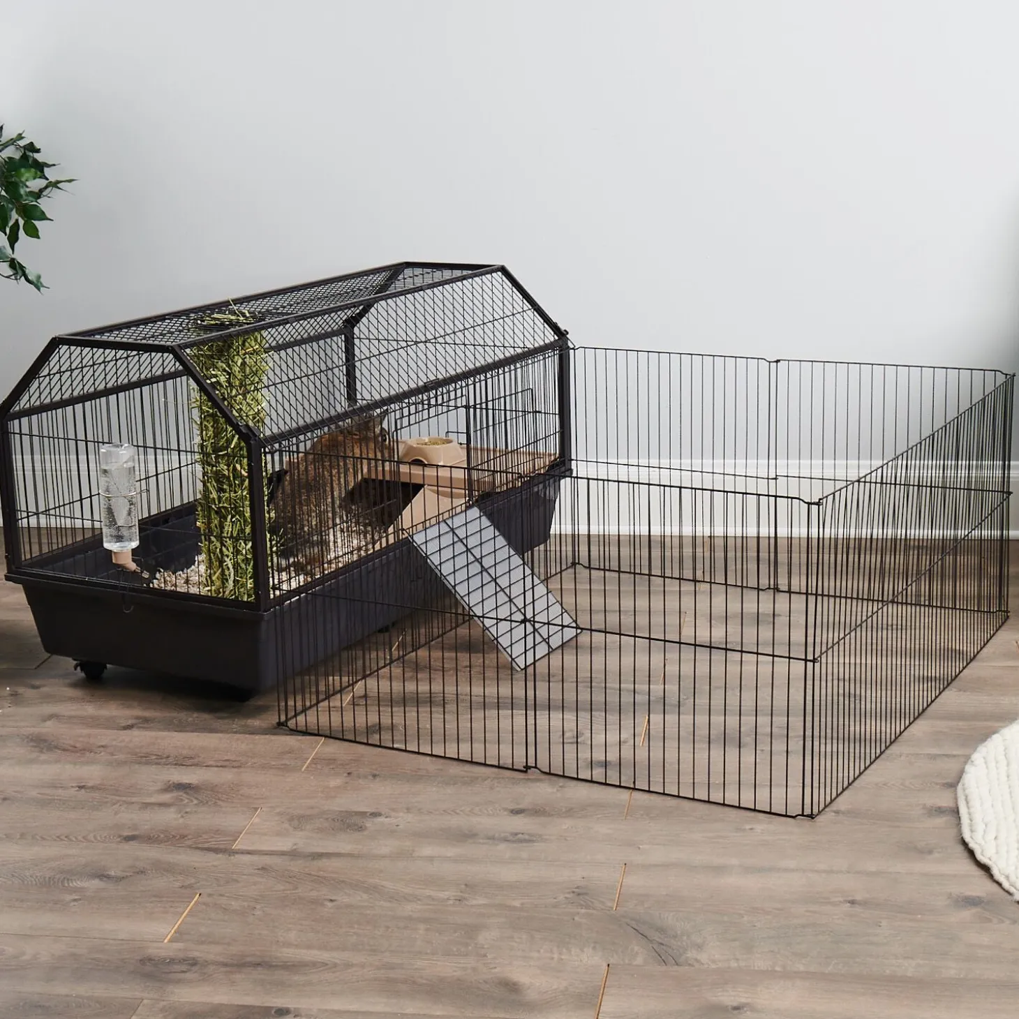 Habitat for Rodents with Play Yard