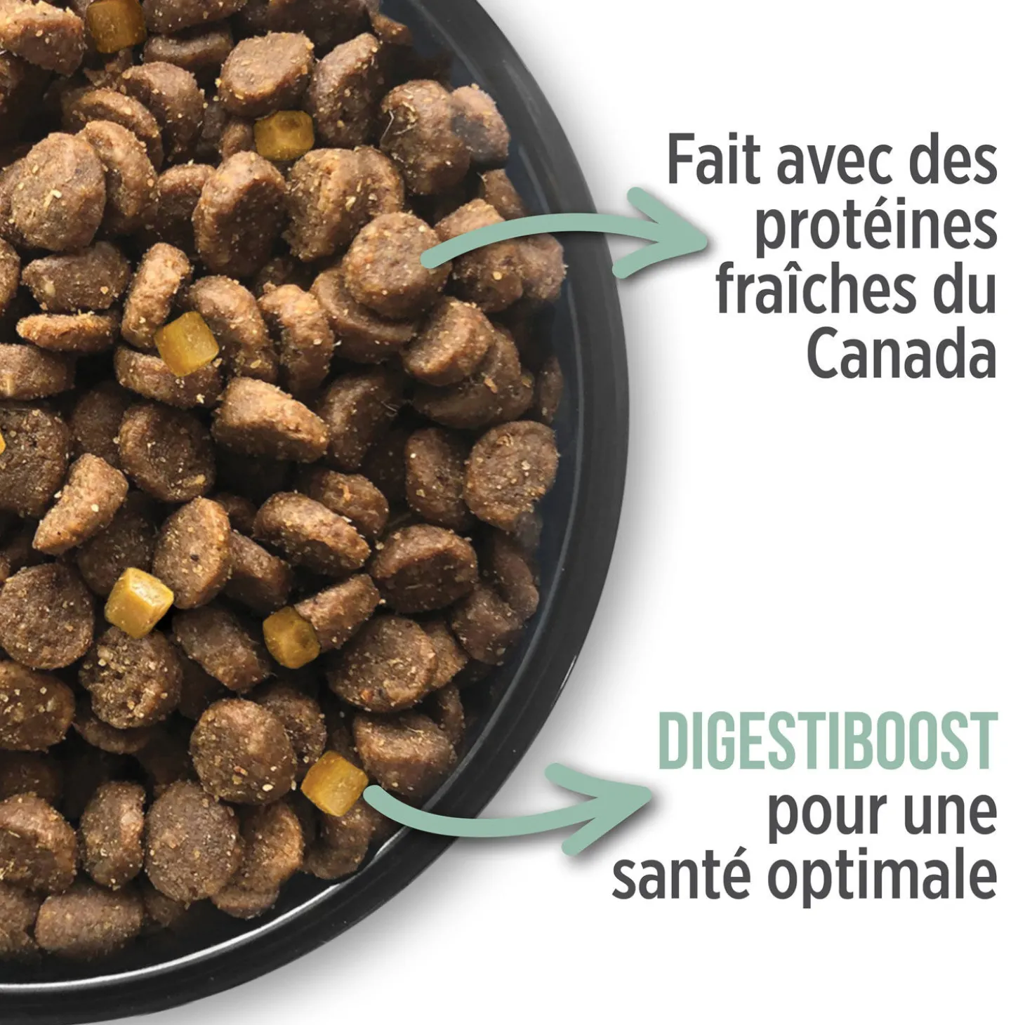 Hairball control formula for cats