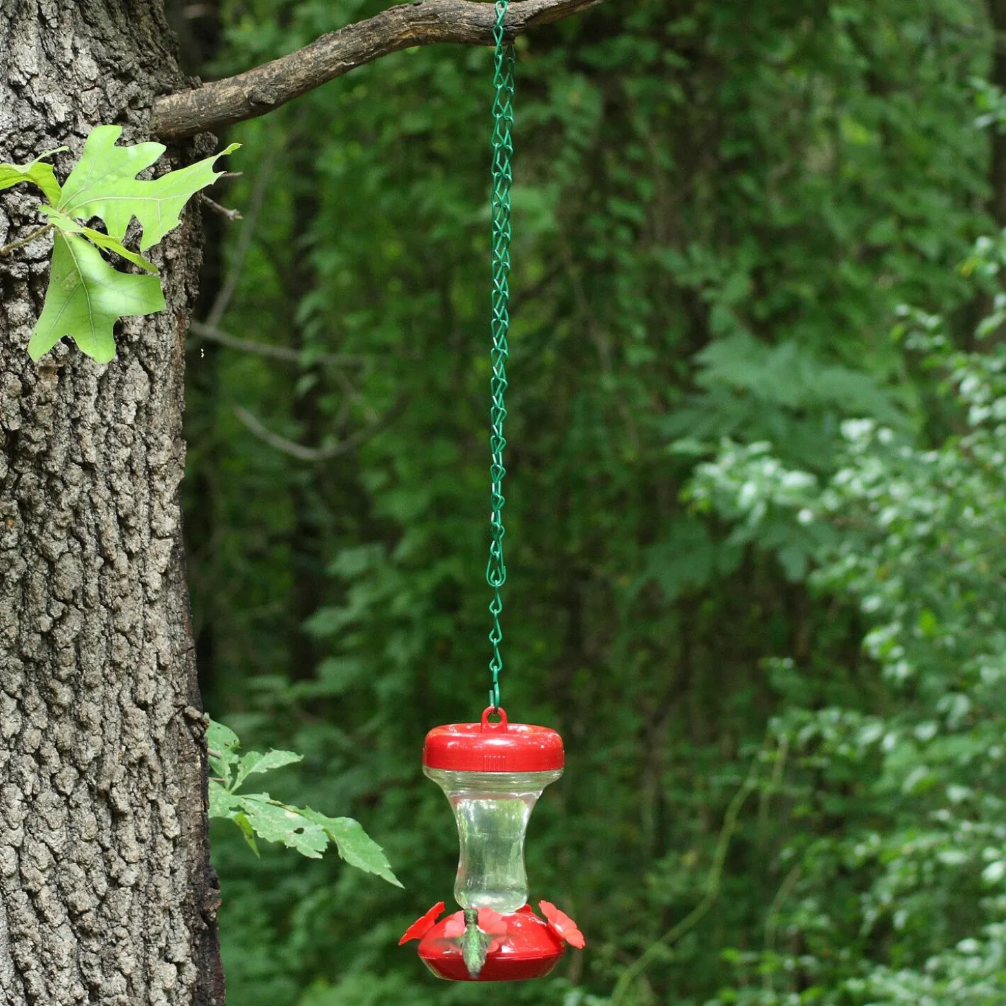 Hanging Chain for Bird Feeders