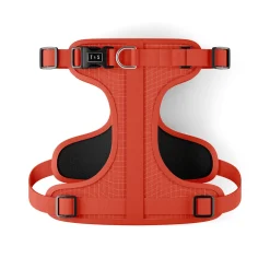 Harnais Tango pour chiens