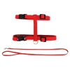 Harness and Leash Kit for Cats