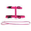 Harness and Leash Kit for Cats