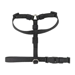 Harness for Dogs