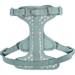 Harness for Dogs, Summer Daisies