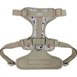 Harness for Dogs, Terrazzo