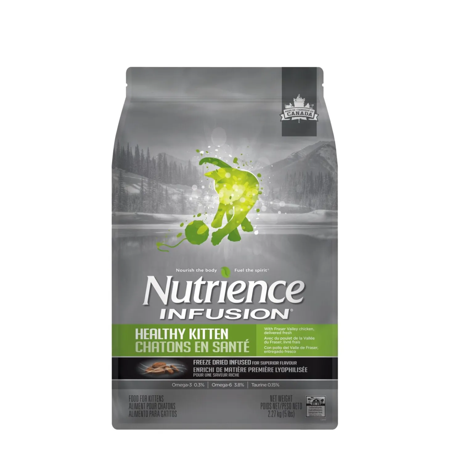 Healthy Kitten Chicken Dry Food