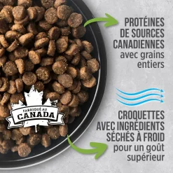 Healthy Kitten Chicken Dry Food