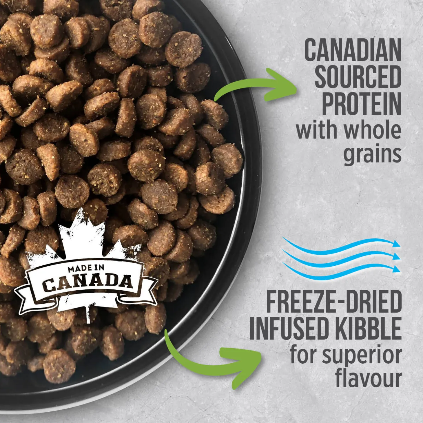 Healthy Kitten Chicken Dry Food