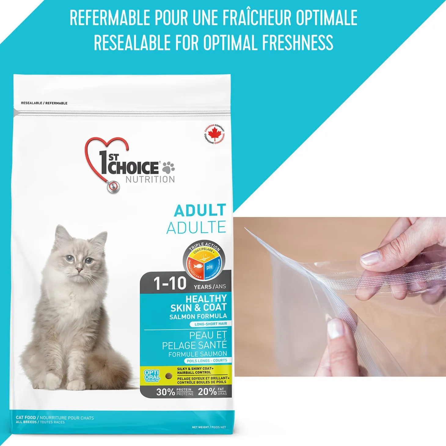 Healthy Skin and Coat Salmon Formula for Adult Cats
