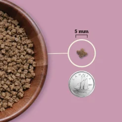 Highest Protein Dry Food for Kittens, 1.8 kg