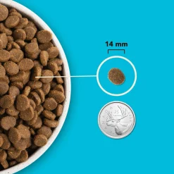 Highest Protein Pacifica Dry Dog Food Recipe, 11.4 kg
