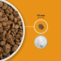 Highest Protein Wild Prairie Dry Dog Food Recipe, 2 kg