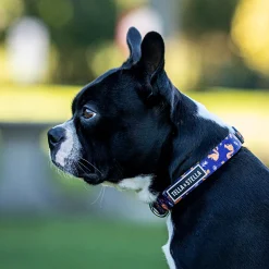 Hiking Rodent Adjustable Dog Collar, L