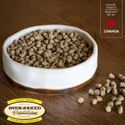 Holistic fresh deboned chicken dry food for adult cats