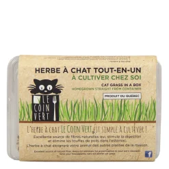 Homegrown Cat Grass