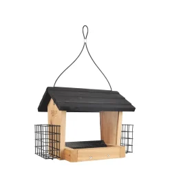 Hopper bird feeder with suet cages