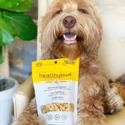 Human-Grade Banana Crisps for Dogs