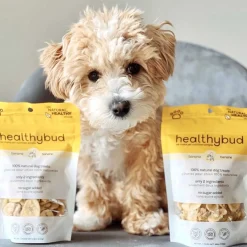 Human-Grade Banana Crisps for Dogs