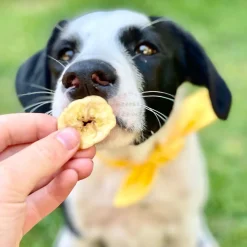 Human-Grade Banana Crisps for Dogs