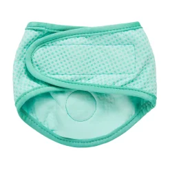 Ice Band for Dogs