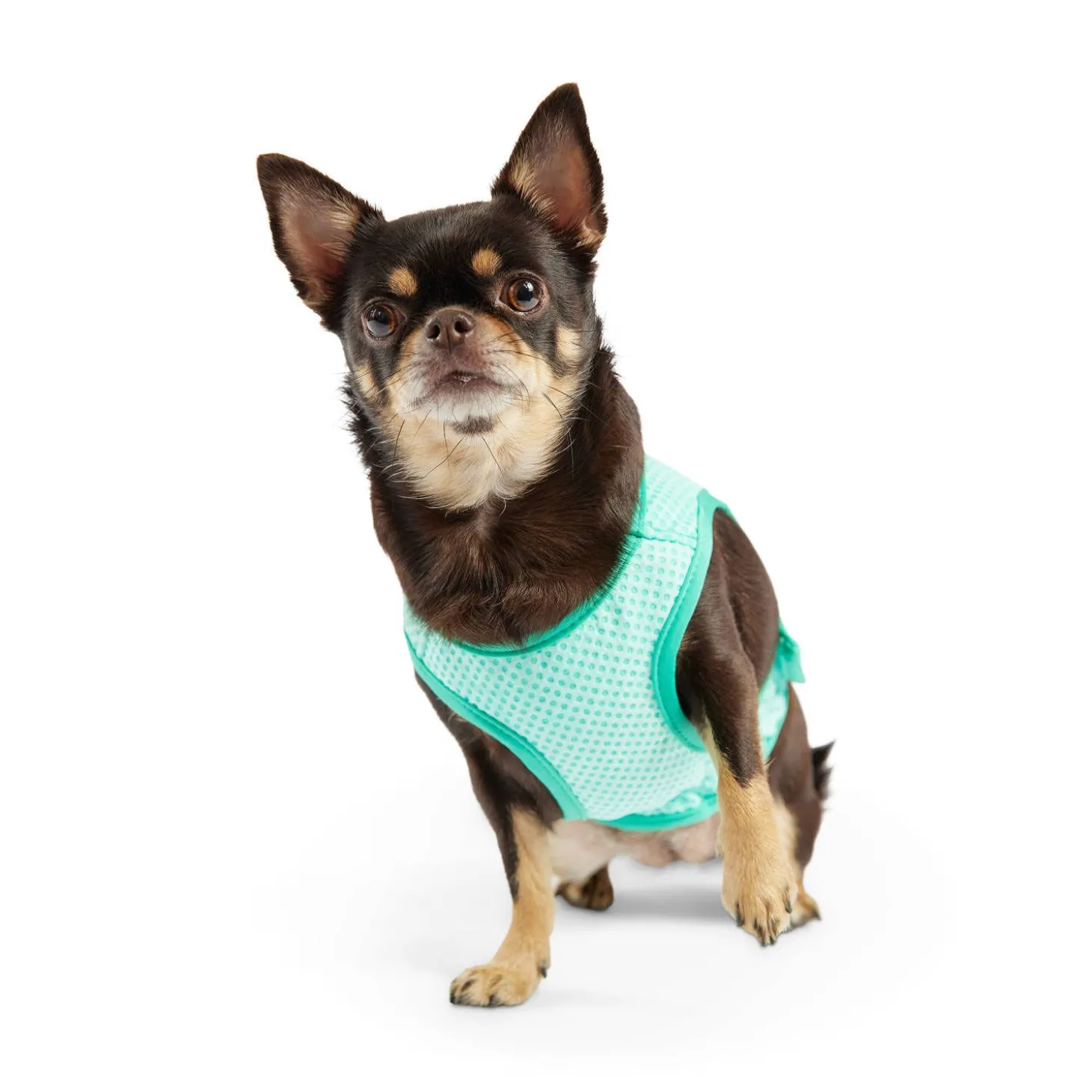 Ice Vest for Dogs