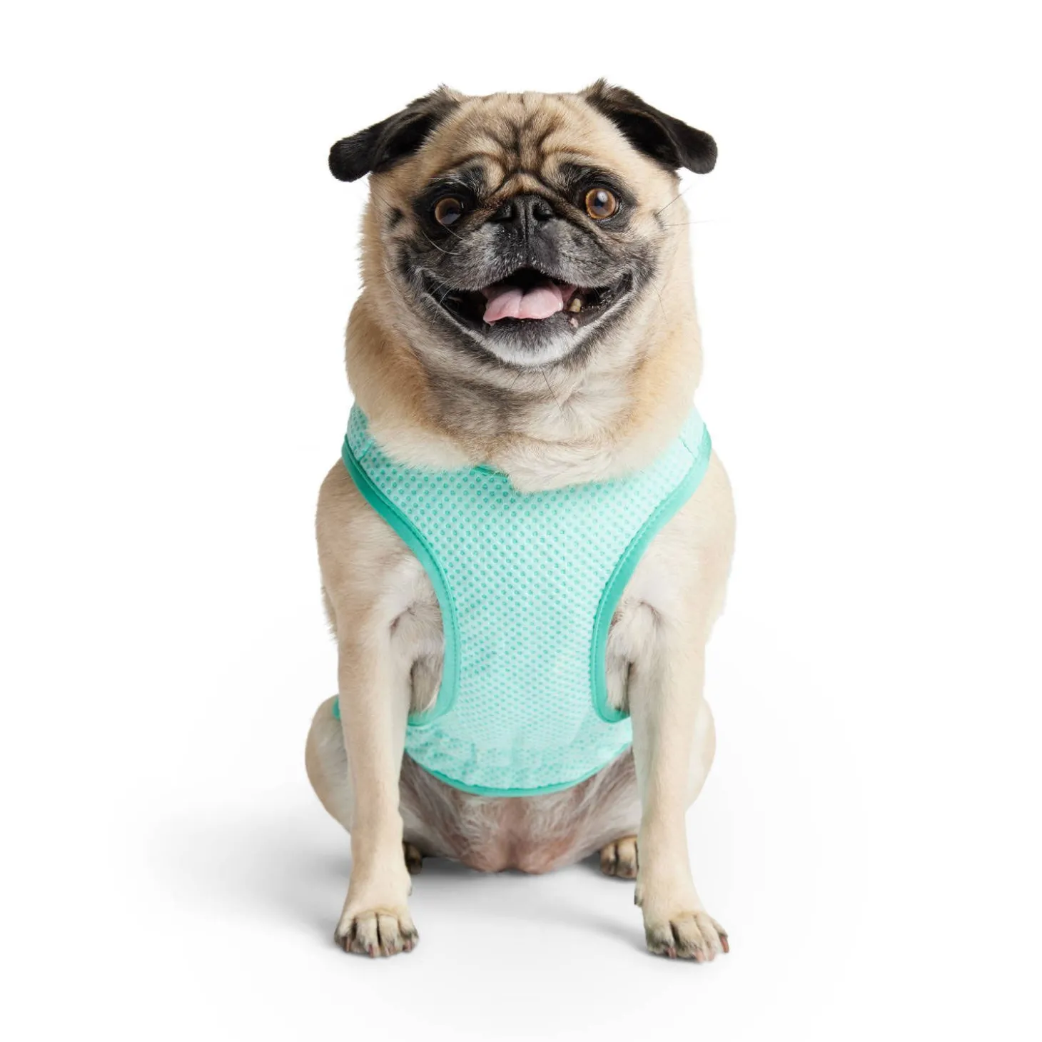 Ice Vest for Dogs