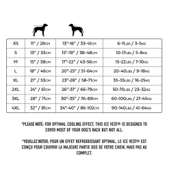 Ice Vest for Dogs
