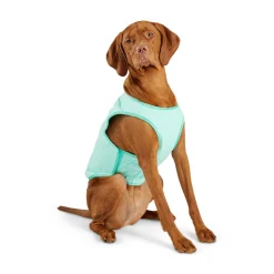 Ice Vest for Dogs