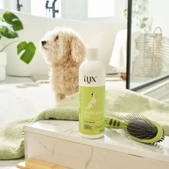 2-in-1 Shampoo for Dogs, 475 ml